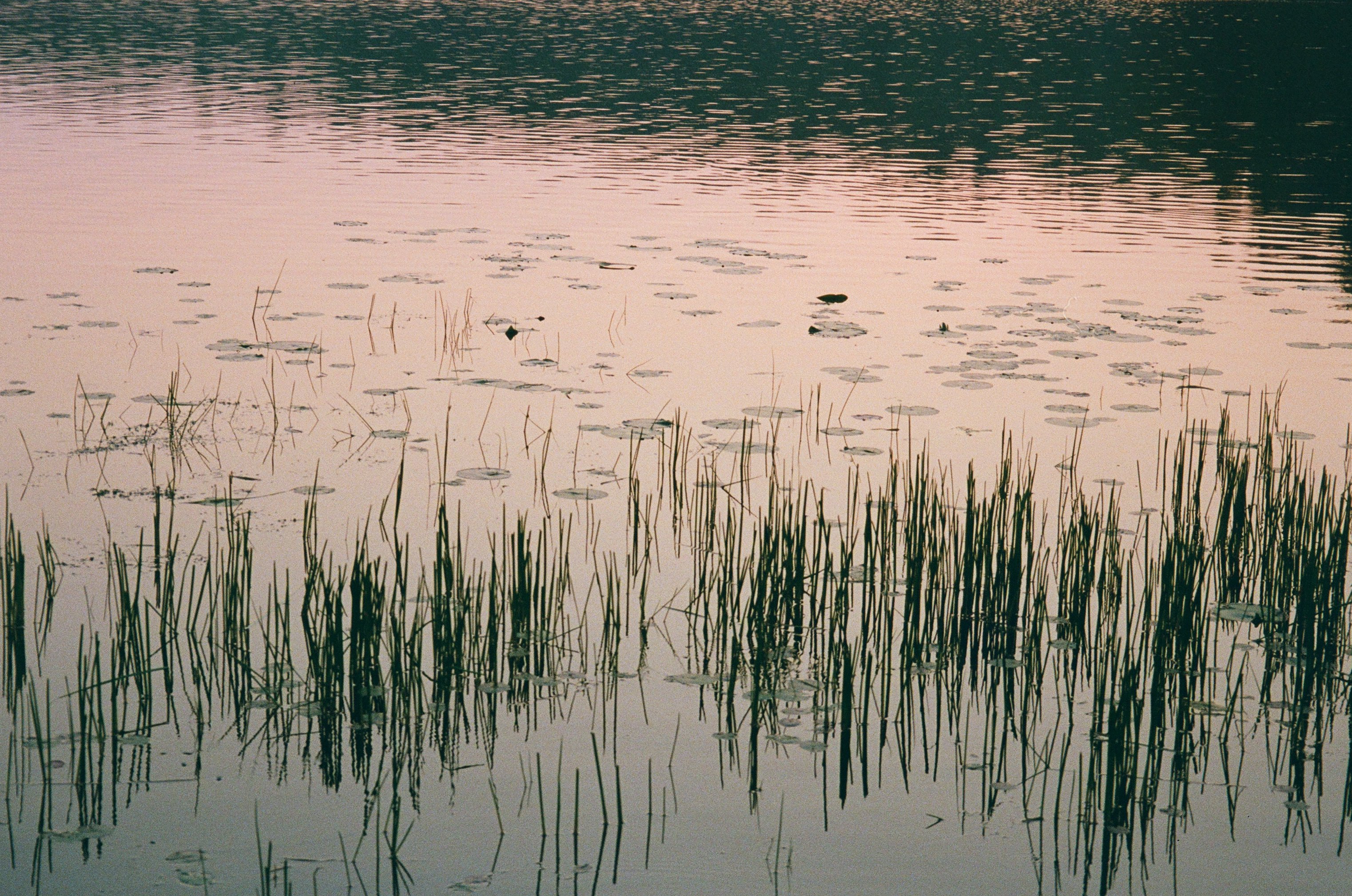 Project thumbnail image