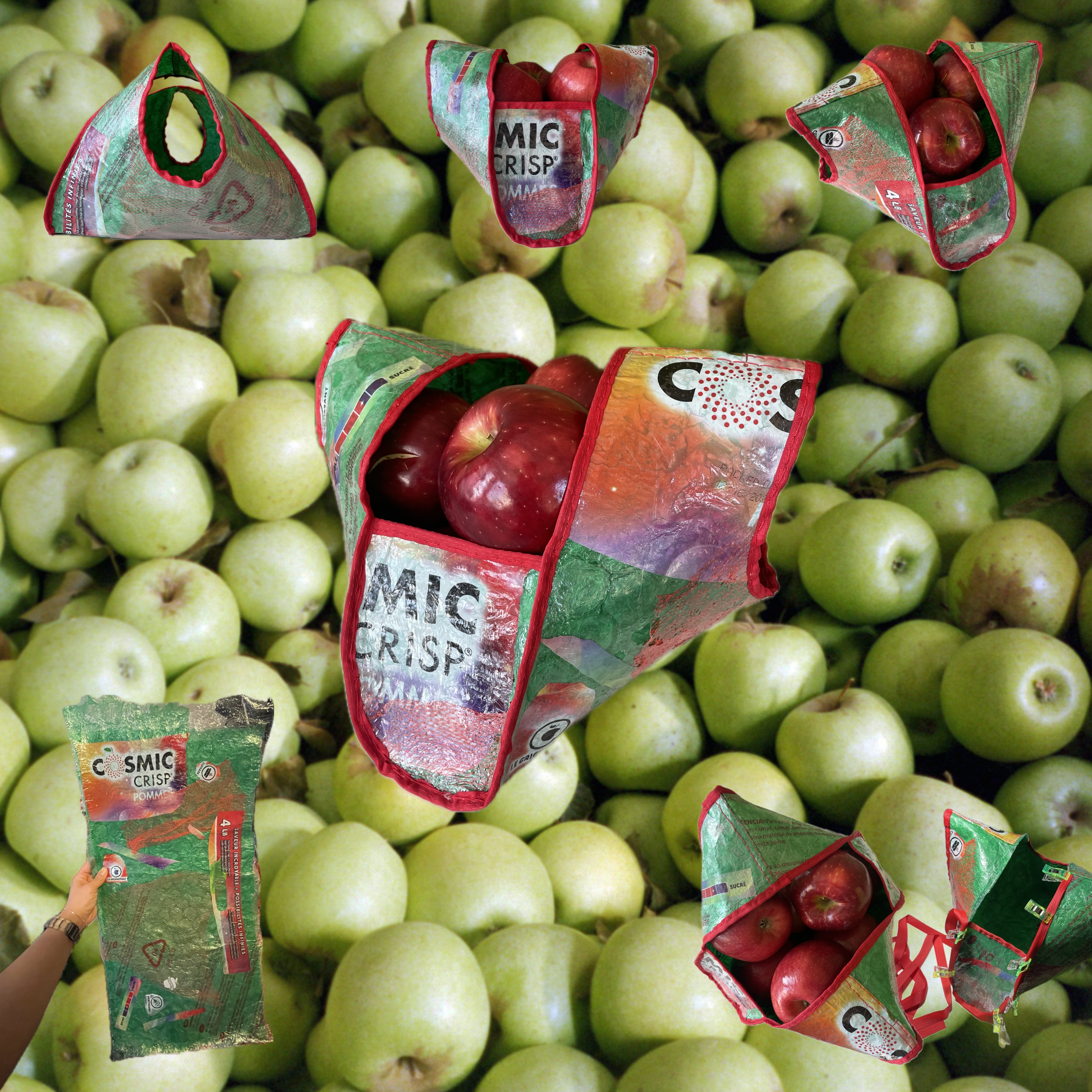 Project thumbnail image